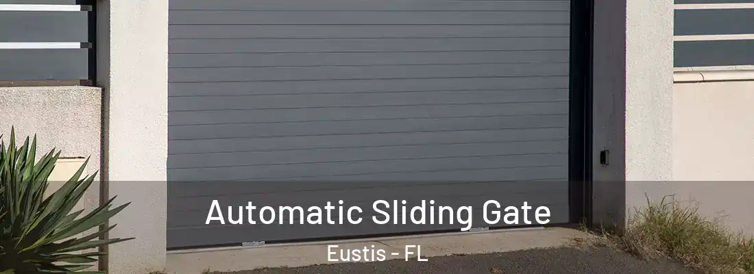 Automatic Sliding Gate Eustis - FL