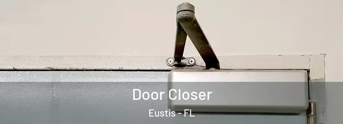 Door Closer Eustis - FL