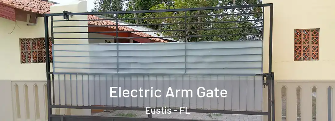  Electric Arm Gate Eustis - FL