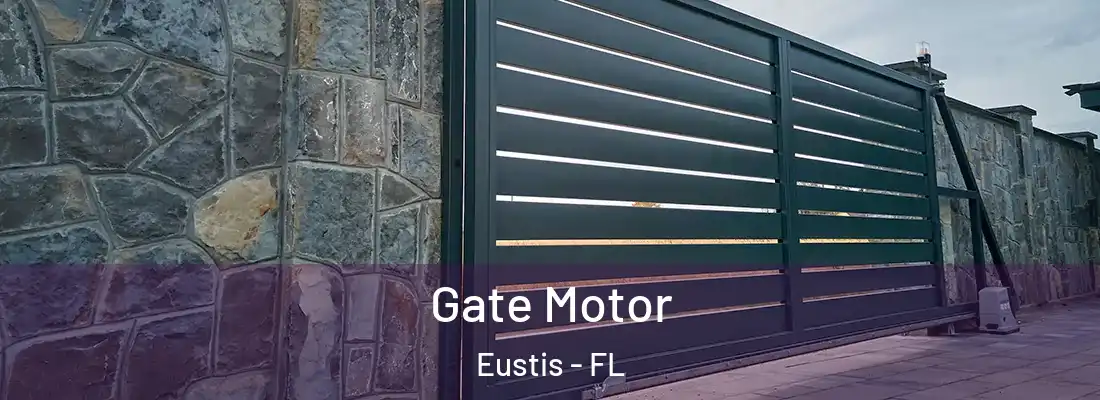 Gate Motor Eustis - FL