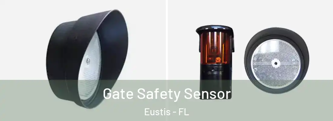 Gate Safety Sensor Eustis - FL