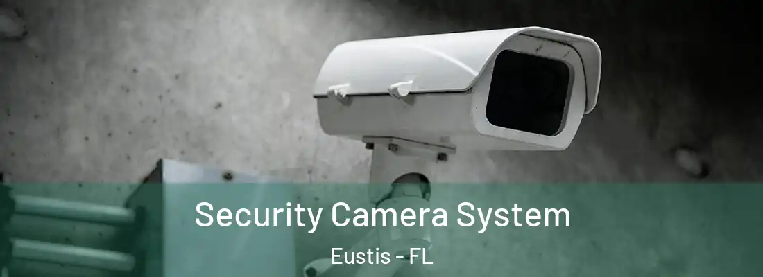 Security Camera System Eustis - FL