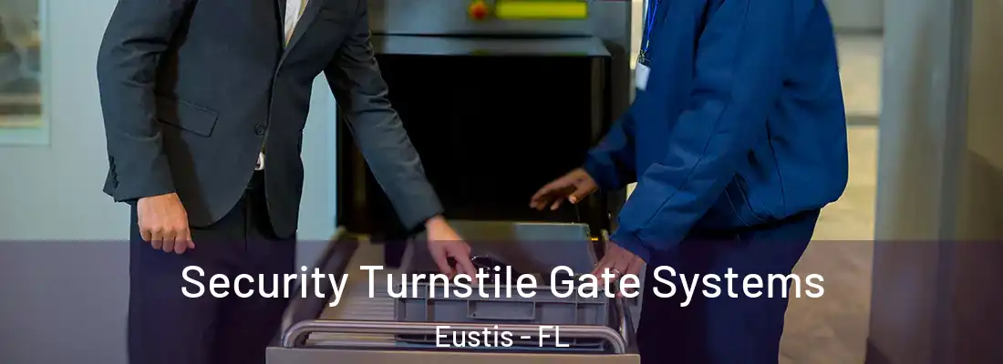 Security Turnstile Gate Systems Eustis - FL